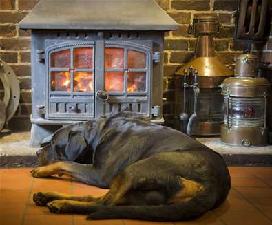 FD - The Ship Inn Levington - Dog in front of fire FD - The Ship Inn Levington - Dog in front of fire