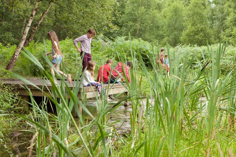 Kids at Rendlesham Forest