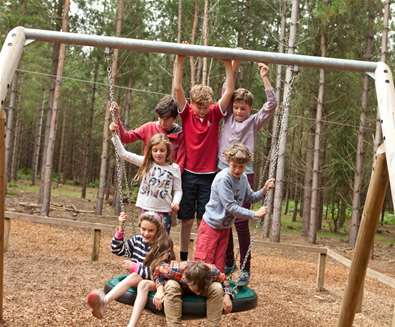 TTDA - Rendlesham Forest - Emily Fae Photography