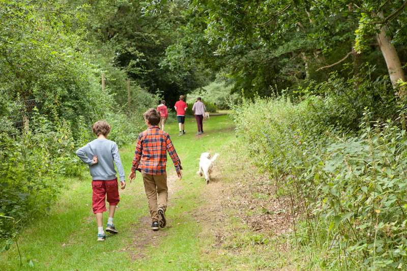 Rendlesham Forest