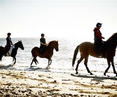 Pakefield Riding - Horses in sea