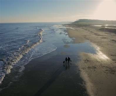 Covehithe aerial