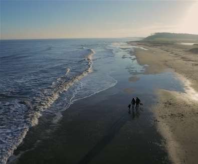 Beaches - Covehithe - drone