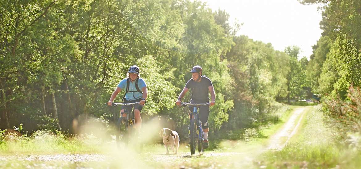 Cycling in Tunstall Forest