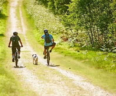 Suffolk Coast Cycling Guide