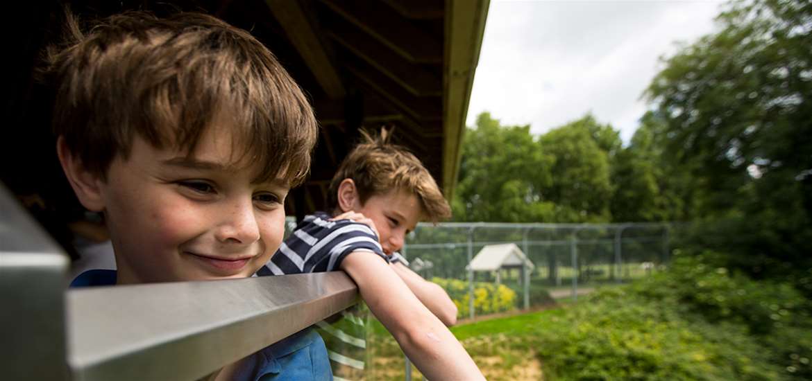 TTDA - Africa Alive - Children at lookout