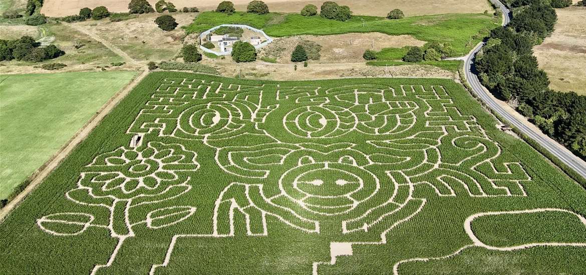 This year’s theme has three exciting maze designs for visitors to explore; a sunflower, pig and tractor.