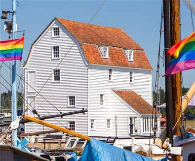 Woodbridge Tide Mil