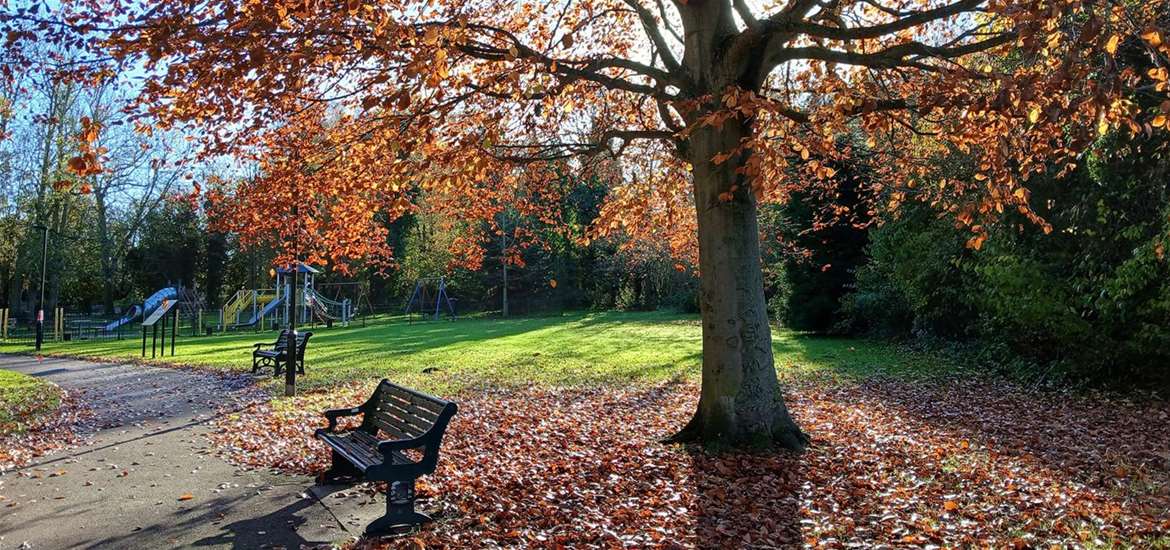Halesworth Park Autumn