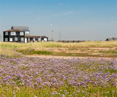 Walberswick in spring