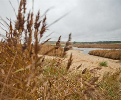 TTDA - Covehithe Beach - autumn (c) Emily Fae Photography