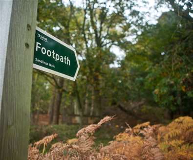 Dunwich Forest - Emily Fae Photography