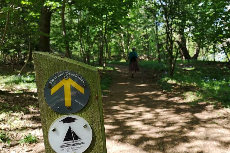 Trails, Tails and timeless adventures (c) Lindsay Want