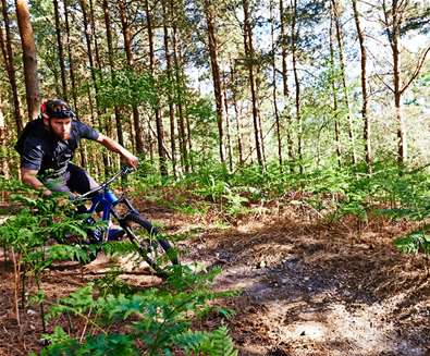 TTD - Cycling - Tunstall Forest (c) Ade Gormley