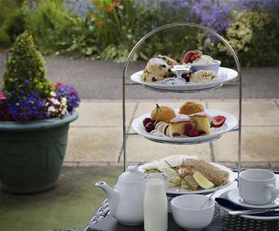 FD - Ufford Park - Afternoon tea outside FD - Ufford Park - Afternoon tea outside