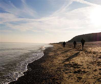 Discover dazzling autumn colour walks in Suffolk with the National Trust