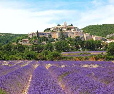 Provence Gourmet Evening