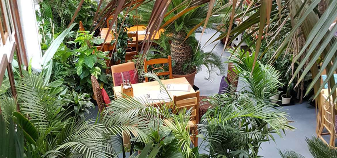 Garden Centre Weston Beccles - Garden Ftempo