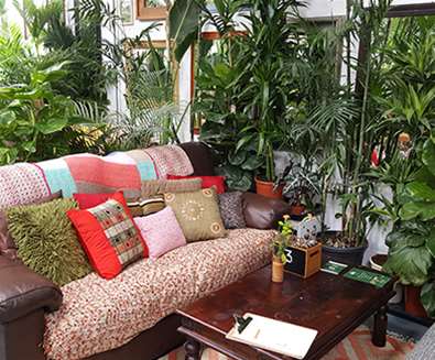 FD - Urban Jungle Cafe - Sofas FD - Urban Jungle Cafe - Sofas