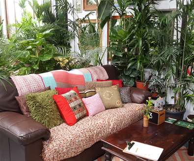 FD - Urban Jungle Cafe - Sofas FD - Urban Jungle Cafe - Sofas