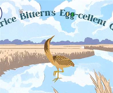 Beatrice Bittern's Egg-celent Quest at RSPB Minsmere
