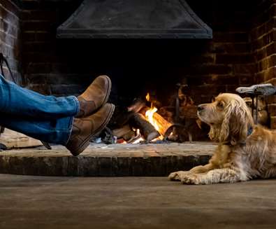 WTS - The Westleton Crown - Dog in front of fire WTS - The Westleton Crown - Dog in front of fire