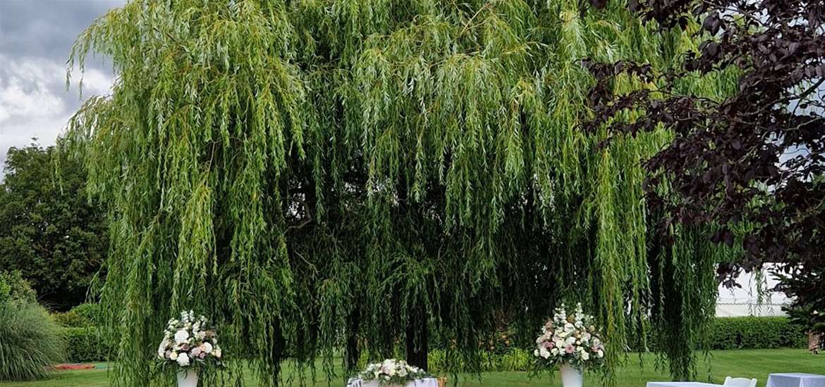 Hungarian Hall Estate - The Willow Tree