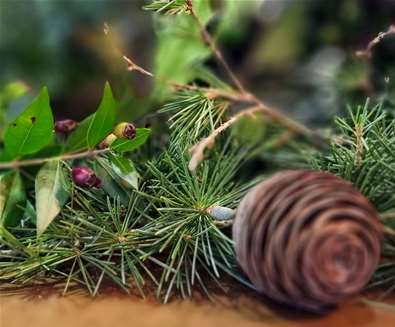 Christmas Wreath Making