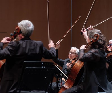 Winter Warmers - String Trio fr..