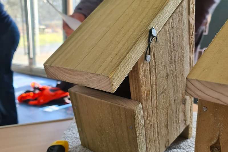 Build a nest box