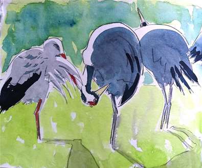 Pensthorpe – tall birds in Nort..