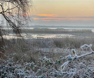 Winter Wonderland Trail at RSPB..