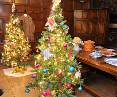 Christmas Tree Festival