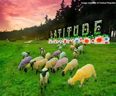 Latitude Festival Sheep (C) Festival Republic Latitude Festival Sheep (C) Festival Republic