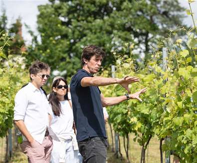 Flint Vineyard