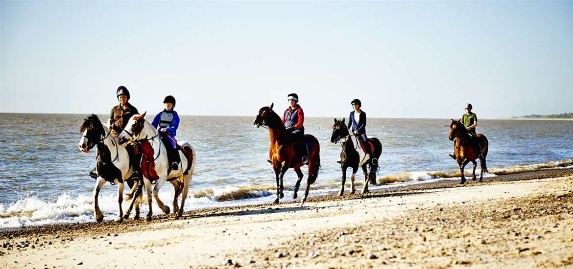 Pakefield Riding School - Attractions - (c) Adrian Green