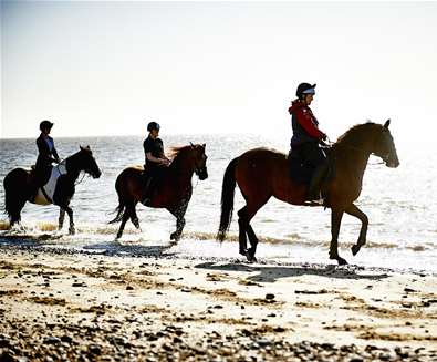 TTDA - Pakefield Riding School - horses in sea