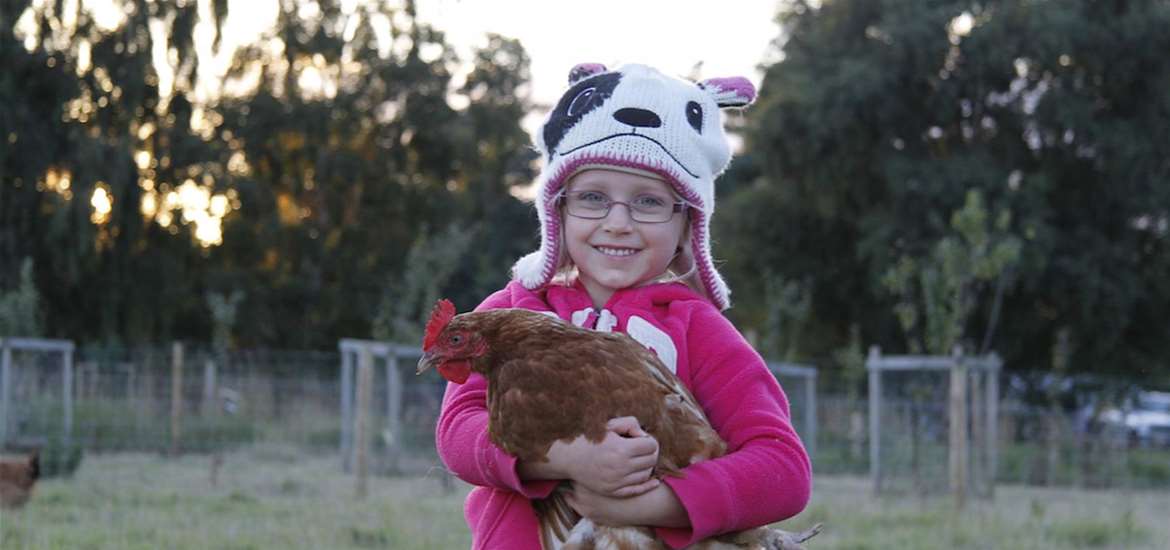 WTS - Shottisham Campsite - Girl with chicken