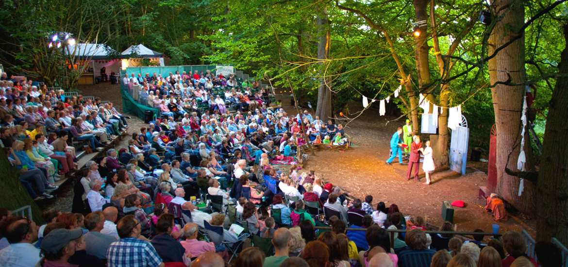 Theatre In The Forest At Home