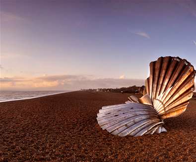 scallop 1170x550 scallop 1170x550
