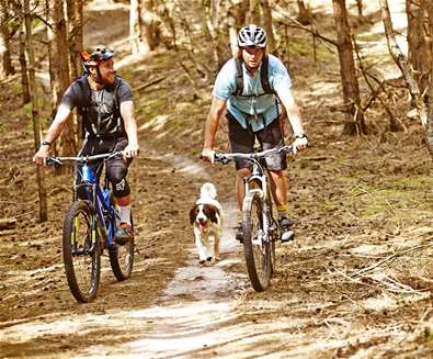 Tunstall Forest - Cyclists with Dog - (c) Ade Gormley