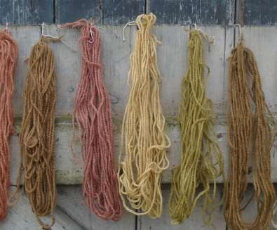 Hedgerow Dyeing with Fire and F..